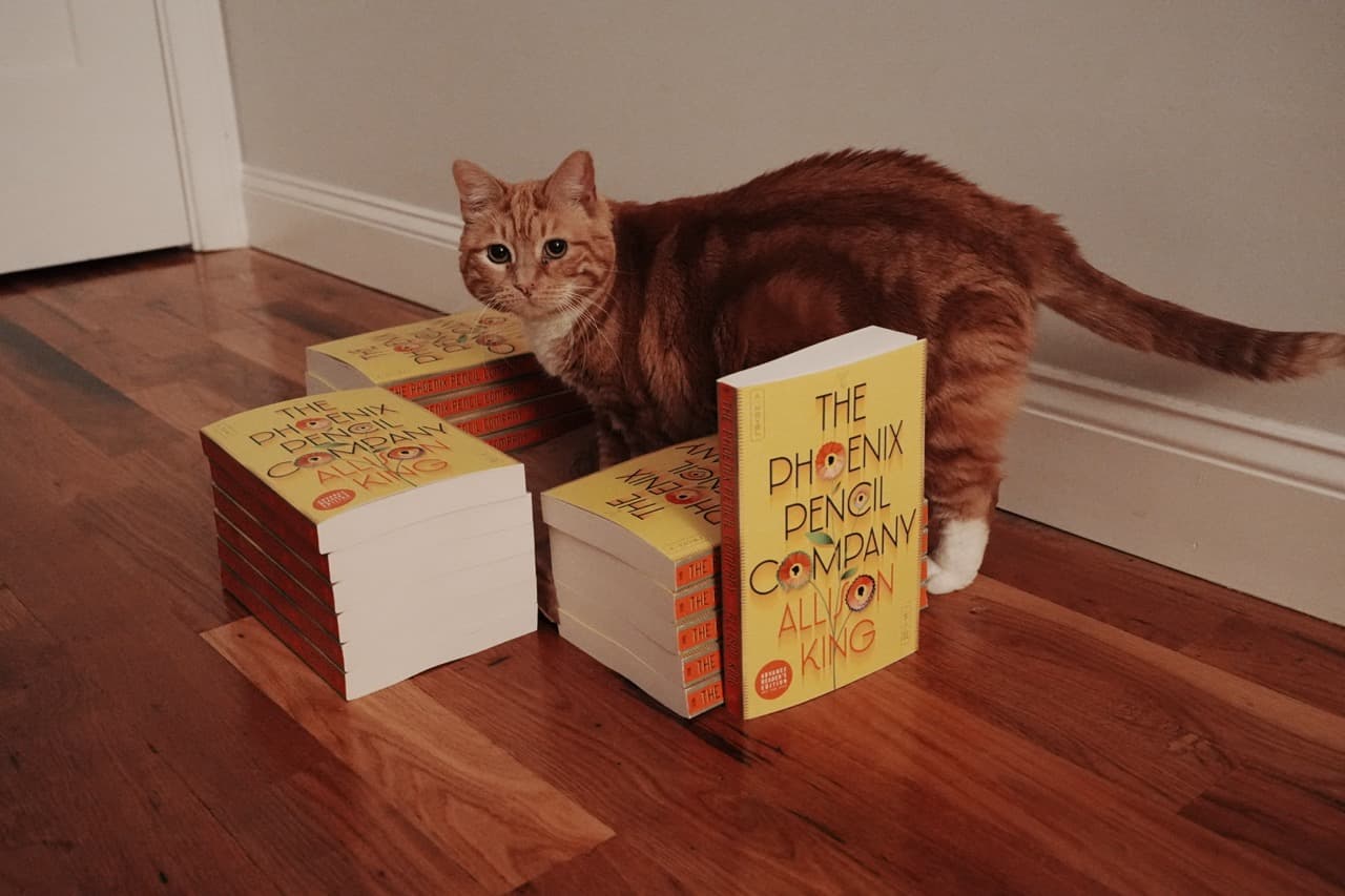 An orange cat inside of stack of the book The Phoenix Pencil Company by Allison King